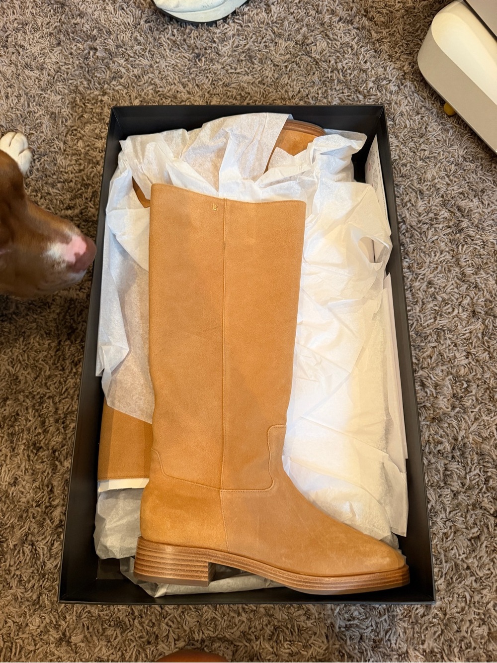 Larroude Tall Suede Boot - Camel